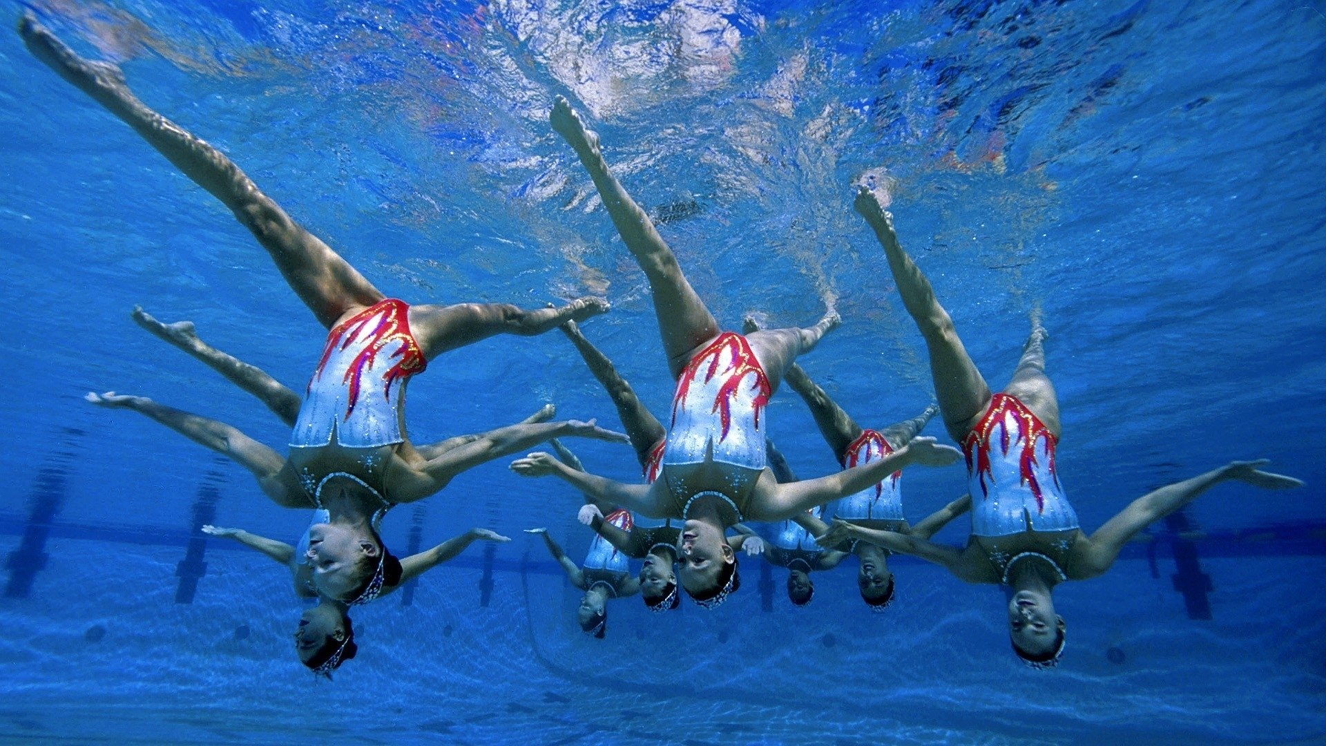 世界游泳俱乐部启动老将回归指导计划，世界游泳协会